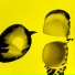 Neumatic Parlo