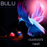 Bulu feat. Visionobi