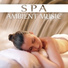 Unforgettable Paradise SPA Music Academy