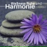 Instrumentalmusik CD
