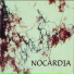 Nocardia