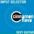 Input Selector