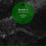 Ninna V