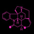 DEATH DRUG PARTY