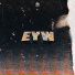 Venus88