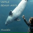 Vinyle beaux-arts