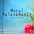 Zen Zazen & Relaxing Piano Masters