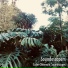 SoundEscapers