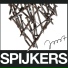Joost Spijkers