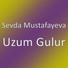 Sevda Mustafayeva