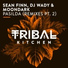 DJ Wady, Sean Finn, MoonDark