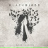BlackBirds