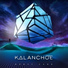 Kalanchoe