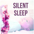 Sleep Lullabies for Newborn