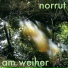 Norrut