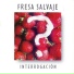 Fresa Salvaje