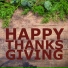Thanksgiving Classical Music Ensemble