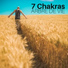 Chakras Toile