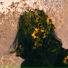 Vamachara