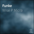 Wise P Micra
