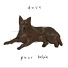 dave the band