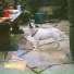 The Animal Beat