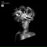 [ noir, martin thompson
