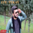 Efe Tekay