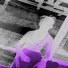 YXXNG