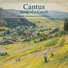 Cantus