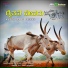 Shabbira Dange, Chandrika Gururaj