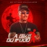 Mc Vitinho Avassalador
