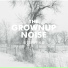 The Grownup Noise