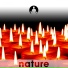 Nature's Harmony