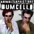 Bumcello