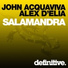 John Acquaviva & Alex D'Elia