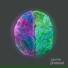 Glume