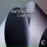 Moog Boy
