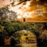 Alonestar