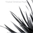 Tropical Christmas Playlist