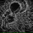 Endless Forms Most Gruesome