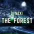 Dynaxi