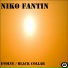 Niko Fantin