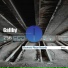 Galiby
