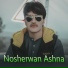 Nosherwan Ashna