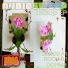 Audiosweep
