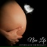 Pregnancy Soothing Songs Masters