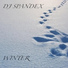 DJ Spandex