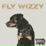 Fly Wizzy