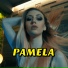 PAMELA